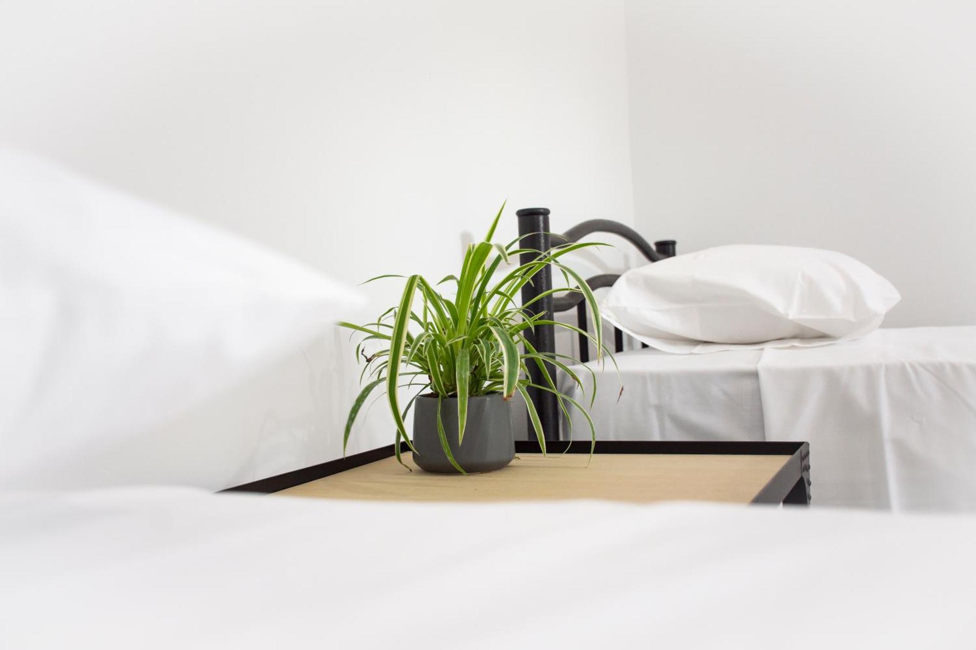 קיסאמוס Christina Apartment מראה חיצוני תמונה